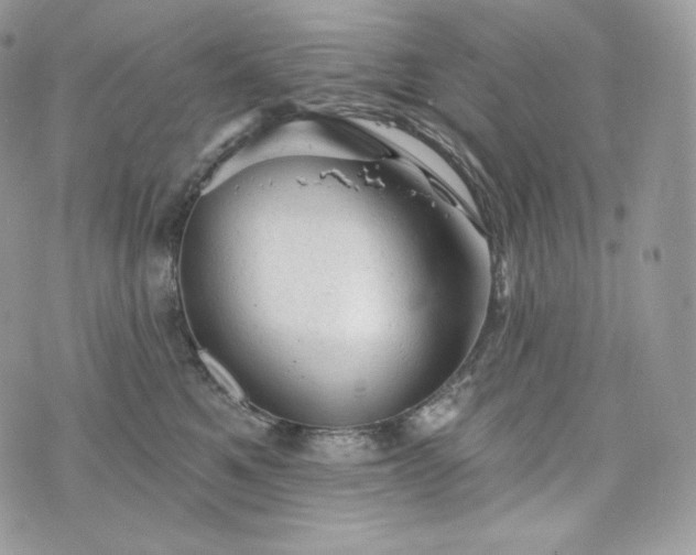 X0000076300521200609291039