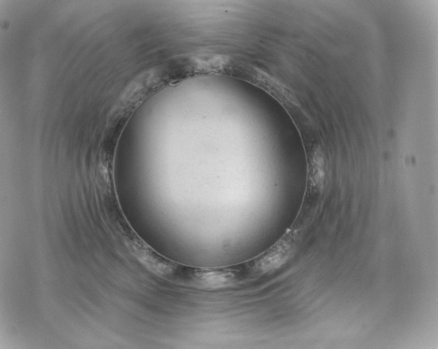 X0000076300522200609291039