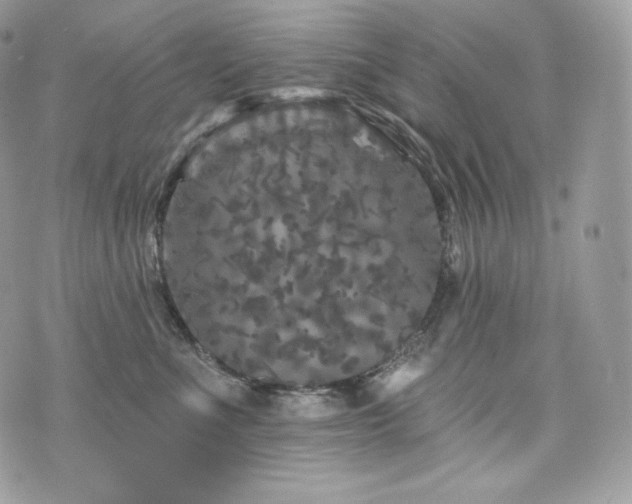 X0000076300523200609291039