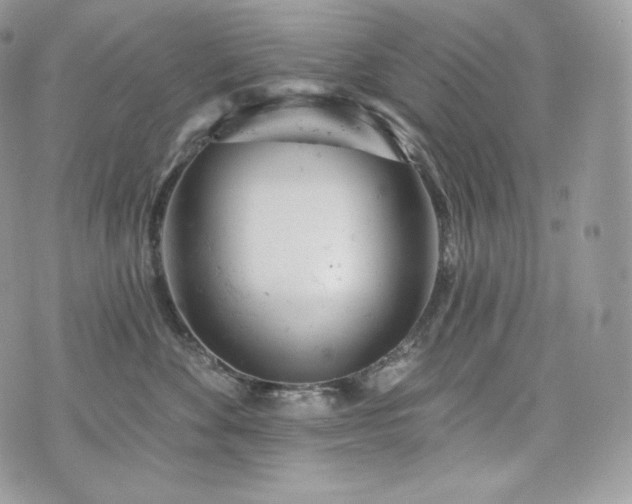 X0000076300524200609291039