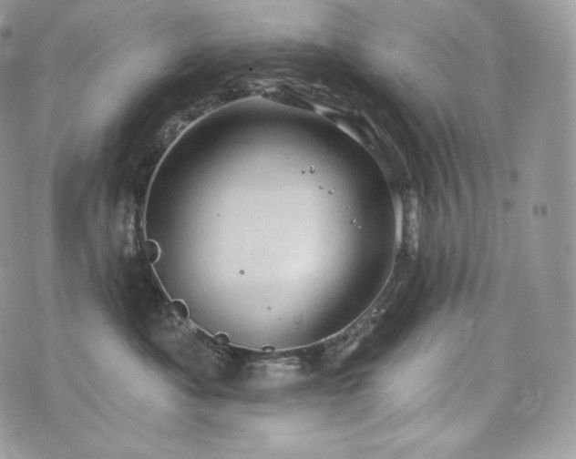 X0000076300525200609291039