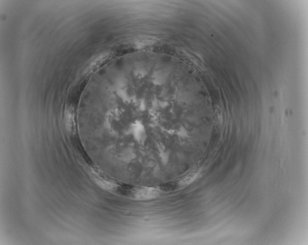 X0000076300527200609291039