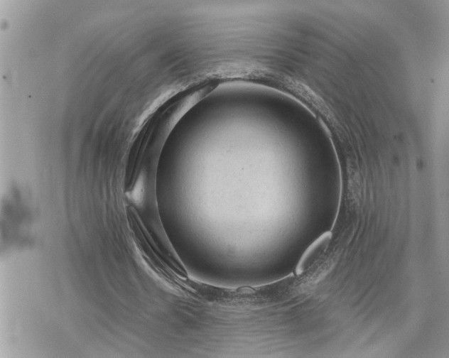 X0000076300530200609291038