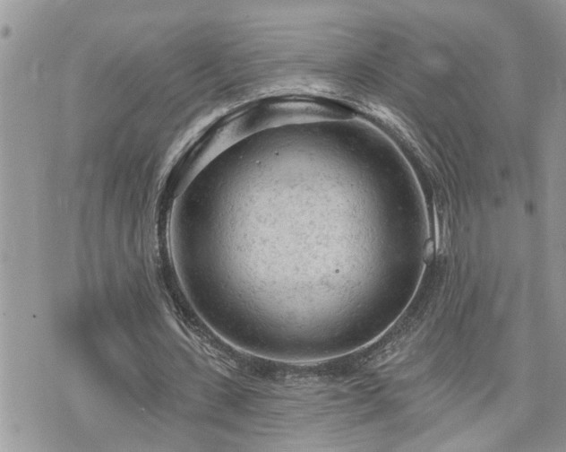 X0000076300531200609291038