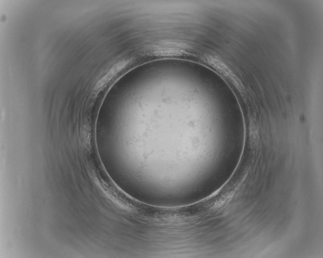 X0000076300533200609291038