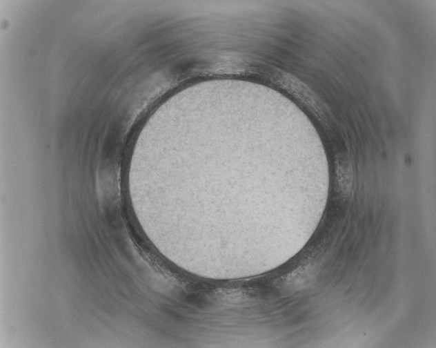 X0000076300534200609291038