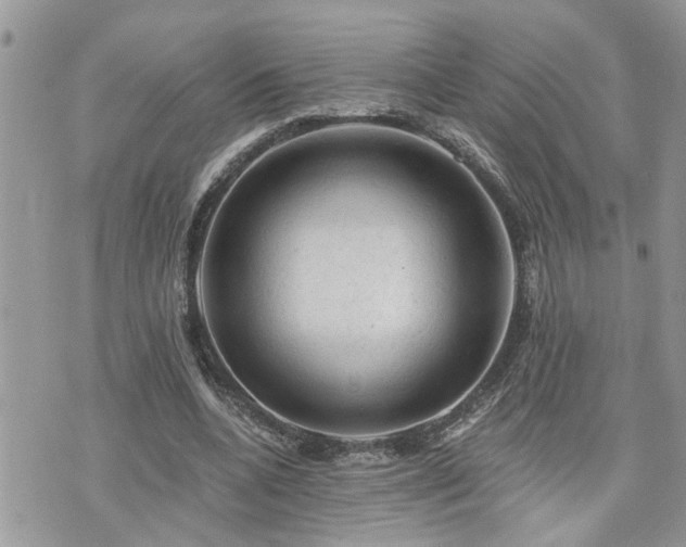 X0000076300536200609291038