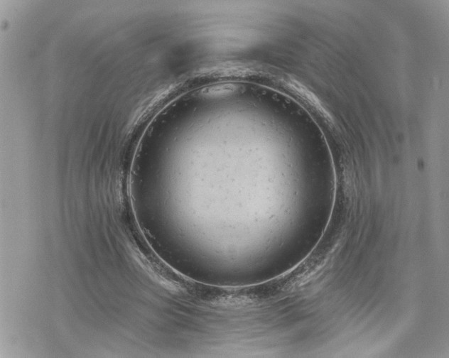 X0000076300537200609291038