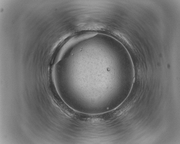 X0000076300539200609291038