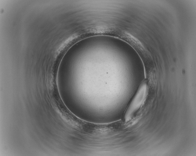 X0000076300540200609291038