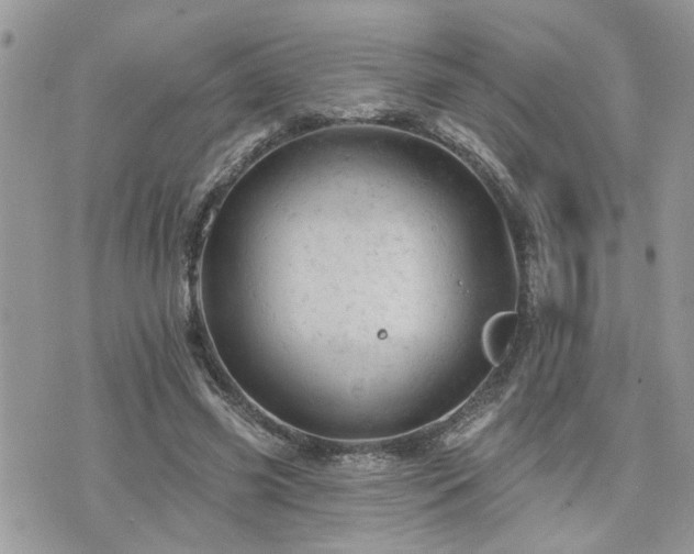 X0000076300541200609291038