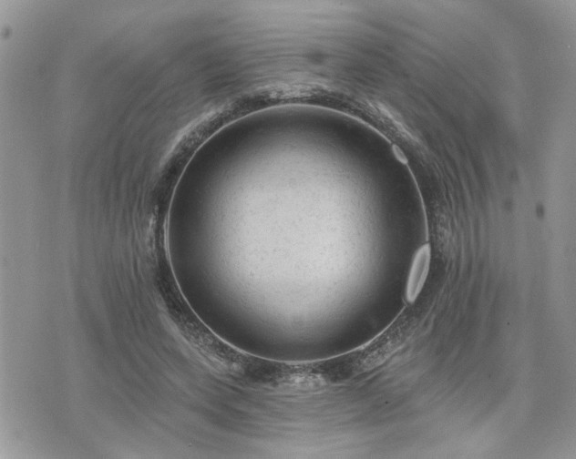 X0000076300543200609291038