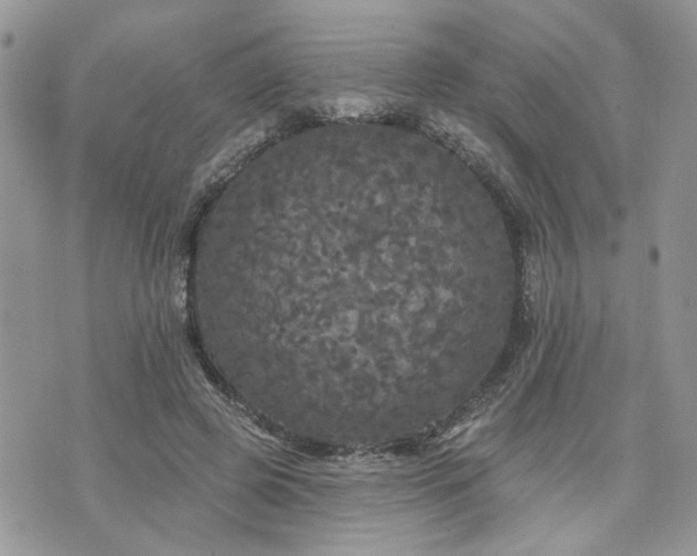 X0000076300545200609291038