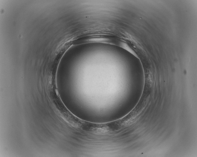 X0000076300548200609291038