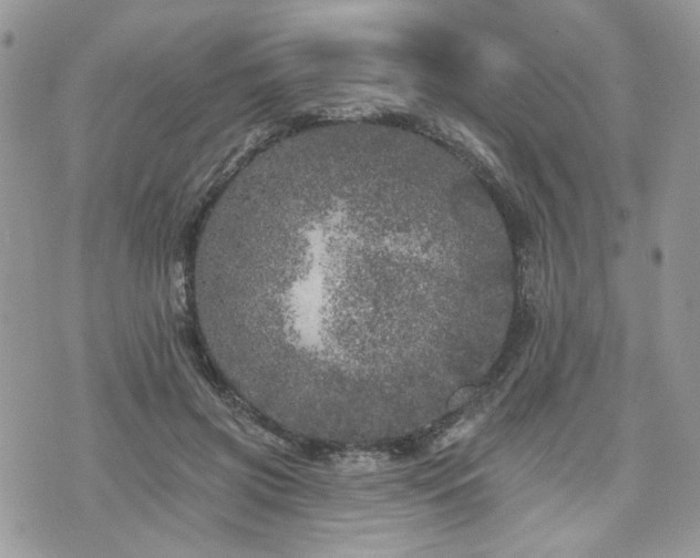 X0000076300549200609291038