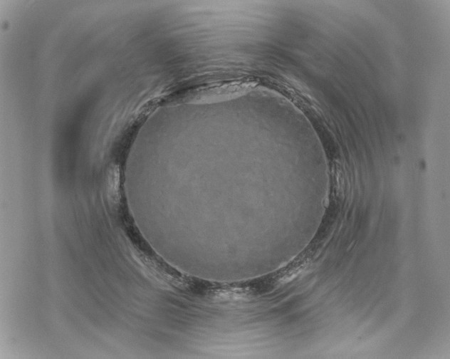 X0000076300550200609291038