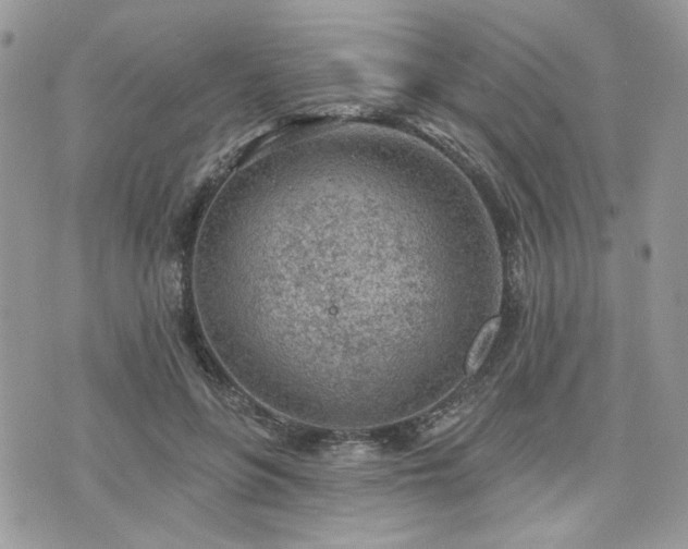 X0000076300551200609291038