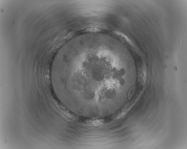 X0000076300553200609291038