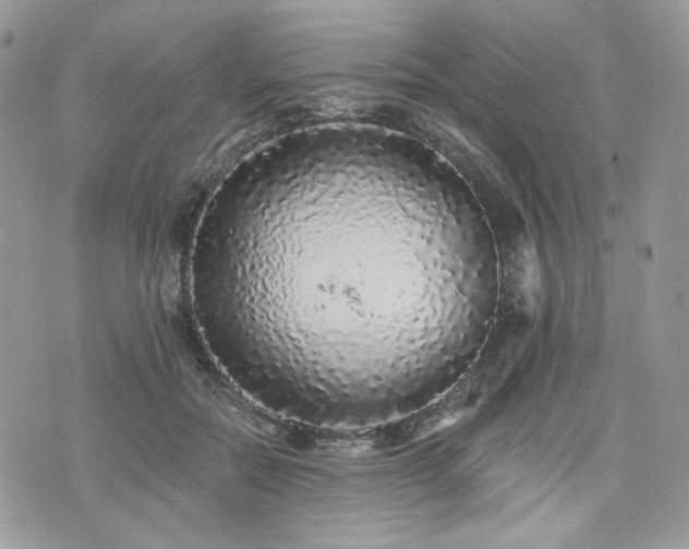 X0000076300554200609291038