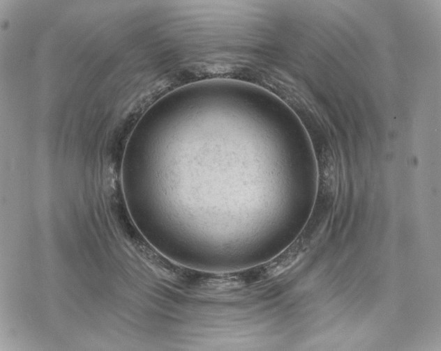 X0000076300555200609291038