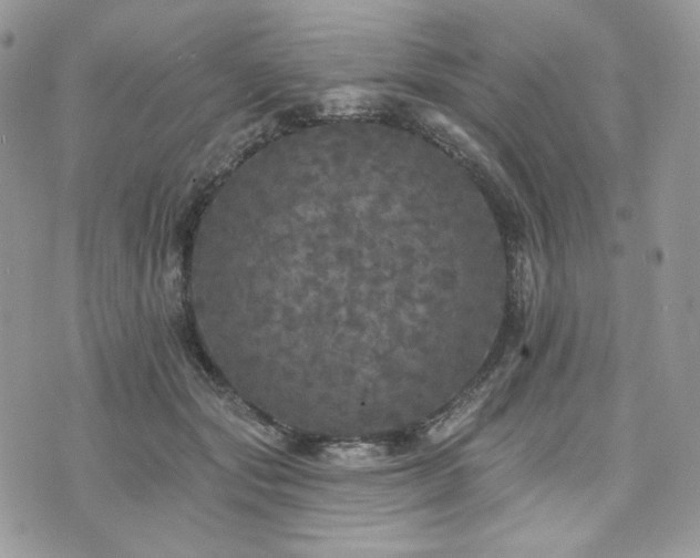 X0000076300557200609291038