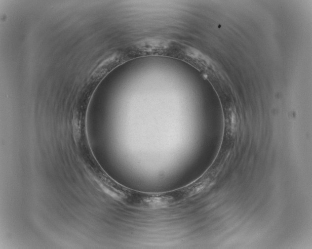 X0000076300558200609291038