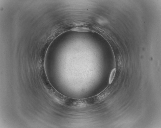 X0000076300559200609291038