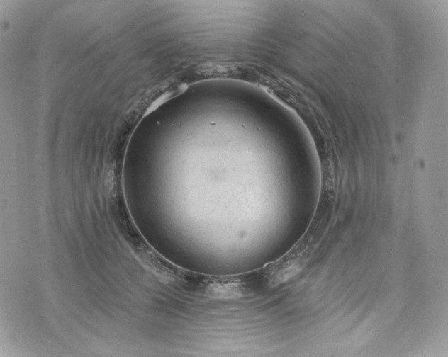 X0000076300560200609291038