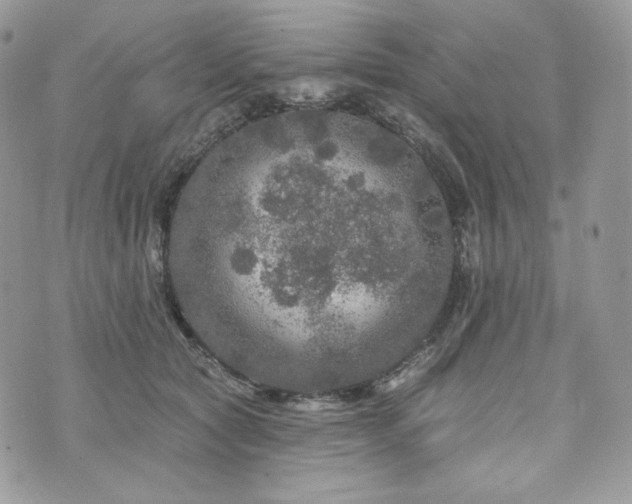 X0000076300561200609291038