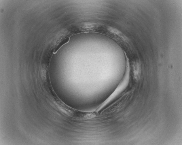 X0000076300562200609291038