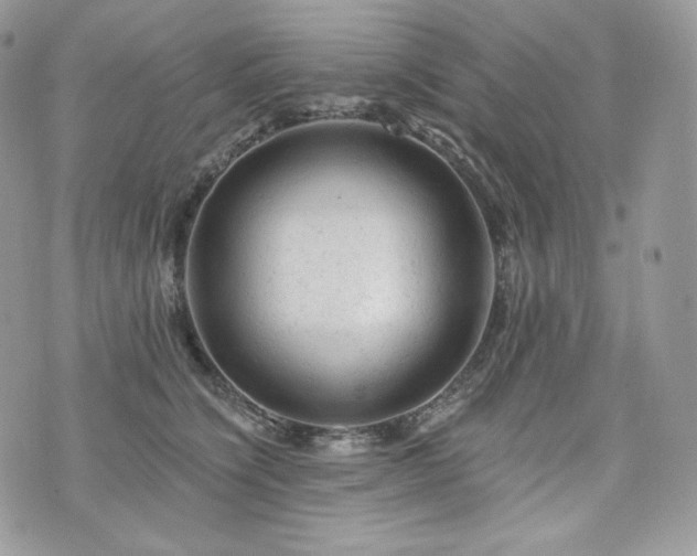 X0000076300564200609291038