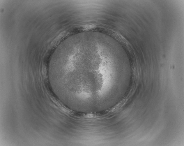 X0000076300565200609291038