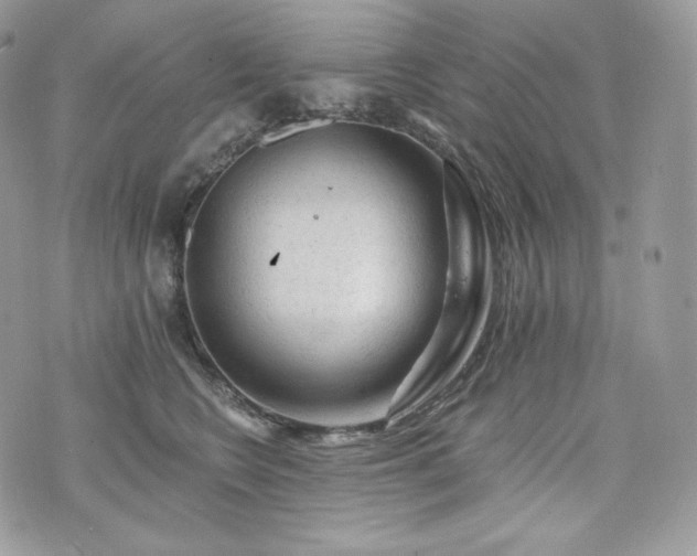 X0000076300566200609291038