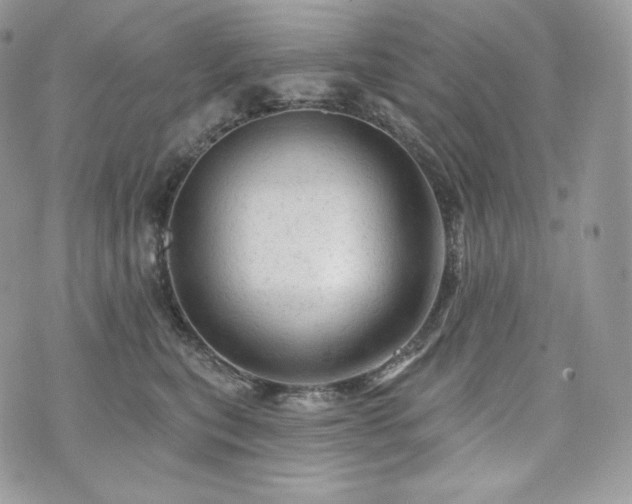 X0000076300567200609291038