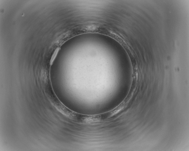 X0000076300568200609291038