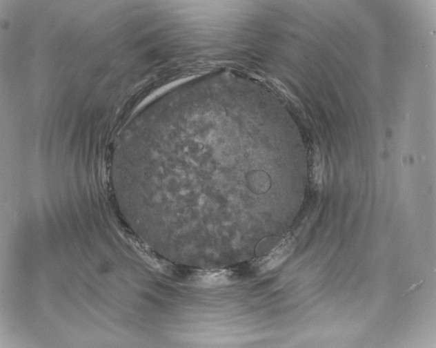 X0000076300569200609291039