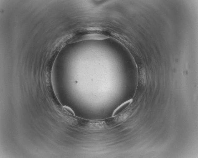 X0000076300571200609291039