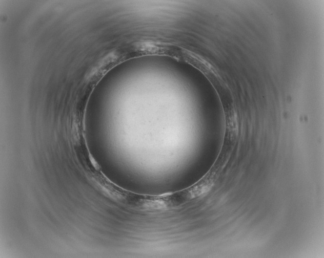 X0000076300572200609291039