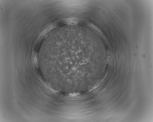 X0000076300573200609291039