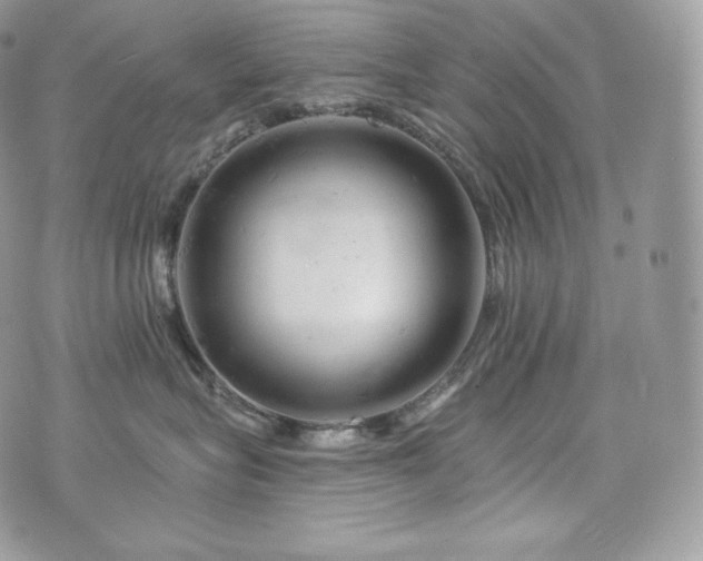 X0000076300575200609291039