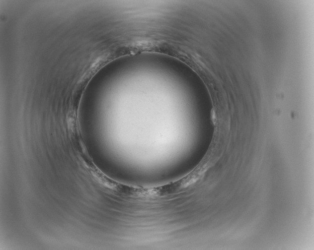 X0000076300576200609291039