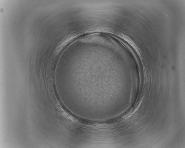 X0000076300577200609291038