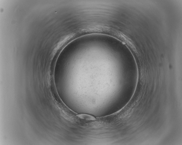 X0000076300578200609291038