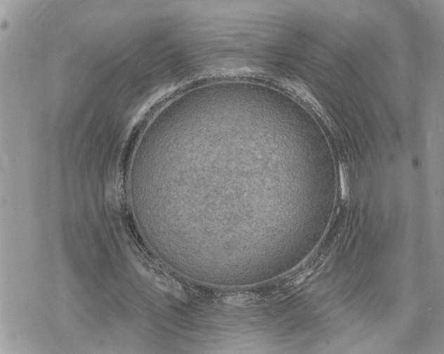 X0000076300579200609291038