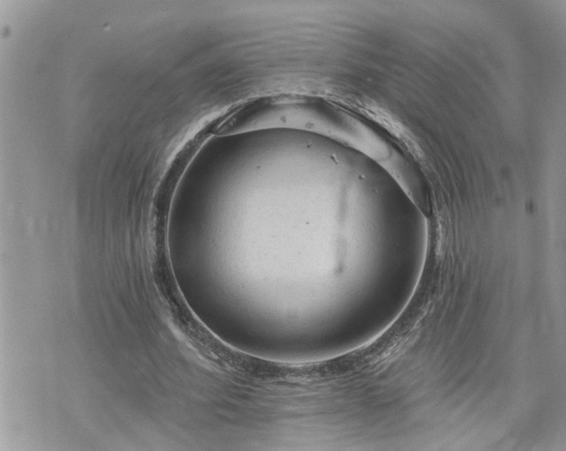 X0000076300580200609291038