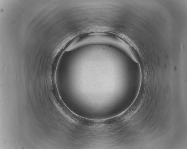 X0000076300581200609291038