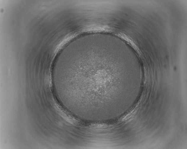 X0000076300582200609291038