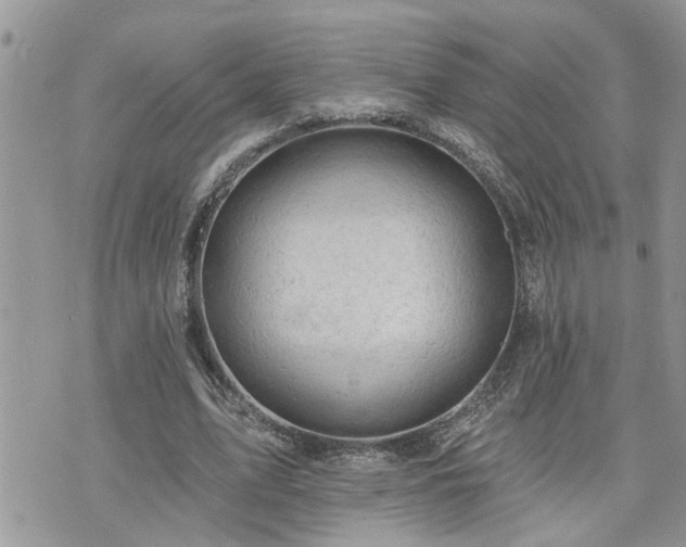 X0000076300583200609291038