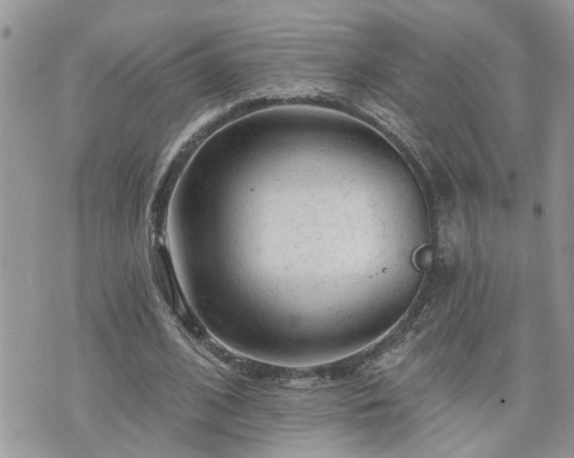 X0000076300584200609291038