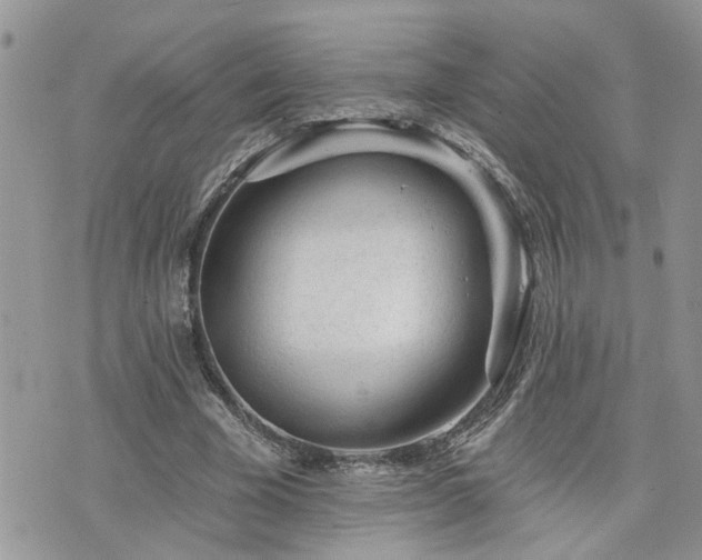 X0000076300585200609291038